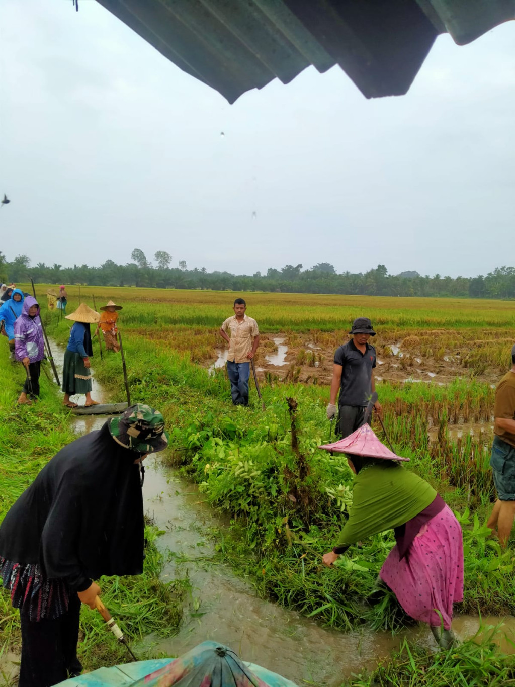 swadaya masyarakat untuk mengelola lahan pertania 